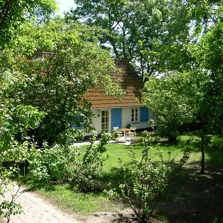 Wasserkoog Tetenbull