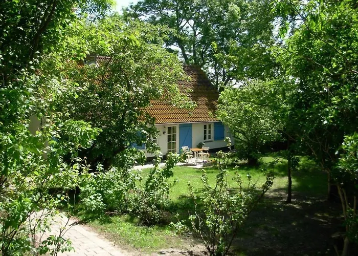 Wasserkoog Tetenbull