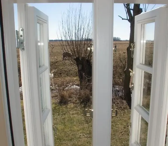 Wasserkoog בית נופש Tetenbull